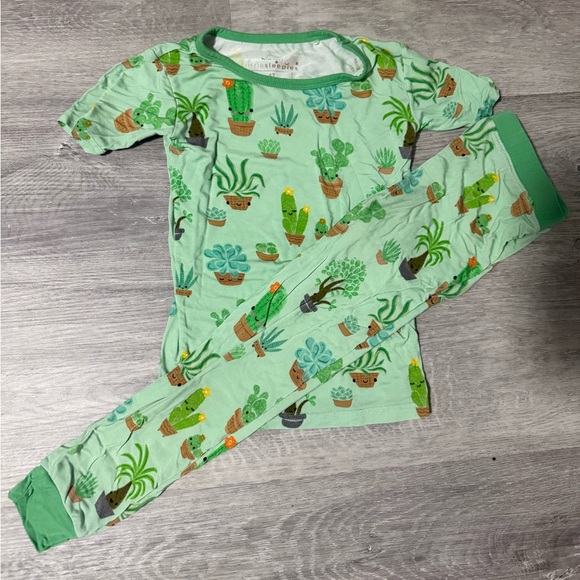 Little Sleepies Other - LITTLE SLEEPIES SUCCULENT LOVE
